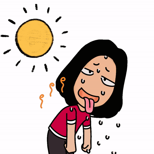 Controlling Menopause Symptoms: A Practical, Personal Approach to&nbsp;Wellness